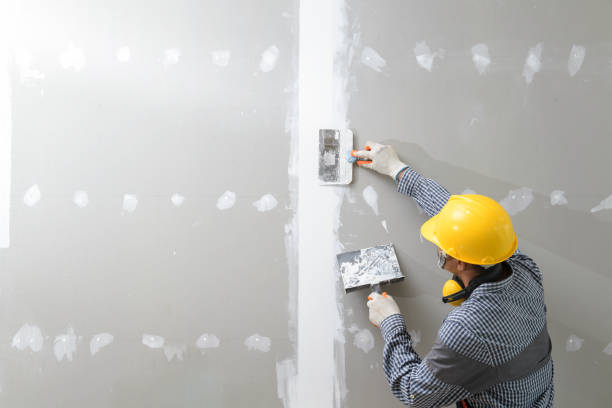 Best Water-Damaged Drywall Repair  in Killeen, TX