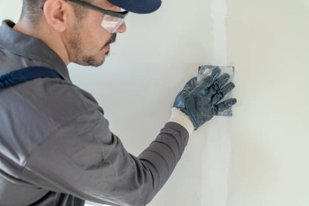 Best Drywall Sanding and Smoothing  in Killeen, TX